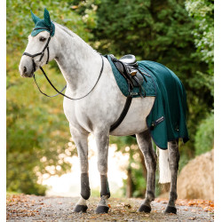 Horseware® Classic dressuurbeschermers Groen dynastie Horseware® Classic dressuurbeschermers Groen dynastie