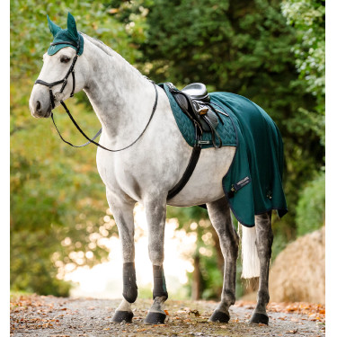Horseware® Classic dressuurbeschermers Groen dynastie Horseware® Classic dressuurbeschermers Groen dynastie