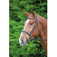 Bridon Comfort Fit Aviemore Shires Havana Bruin