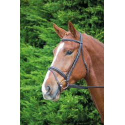 Shires Aviemore Comfort Fit hoofdstel voor paardrijden