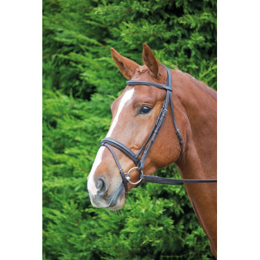 Shires Aviemore Comfort Fit hoofdstel voor paardrijden