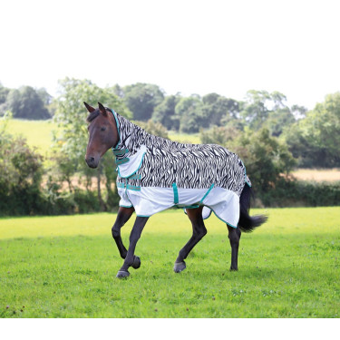 Tempest Original Zebra Shires combo deken tegen vliegen Zebra Motieven
