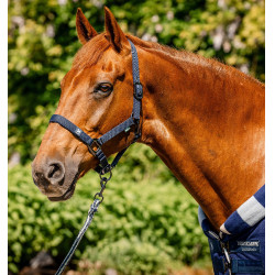 Halster en touw Horseware Newmarket Marine witney Marineblauw