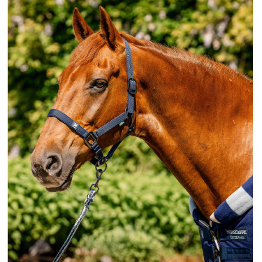 Halster en touw Horseware Newmarket Marine witney Marineblauw