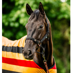 Halster en touw Horseware Newmarket Witgoud