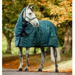 Paarden halsdeken 200g – Amigo Ripstop Insulator Paarden halsdeken 200g – Amigo Ripstop Insulator
