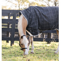Paardendeken pony 250g waterdicht – Horseware Rhino Paardendeken pony 250g waterdicht – Horseware Rhino