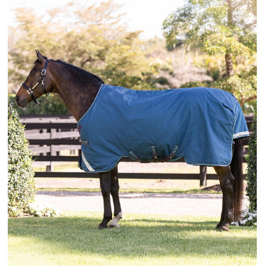 Horseware Rhino Turnout deken 100g Marine / grijs / aqua / grijs Marineblauw