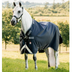 Horseware Rambo 1680D turnoutdeken 250g voor paarden Horseware Rambo 1680D turnoutdeken 250g voor paarden