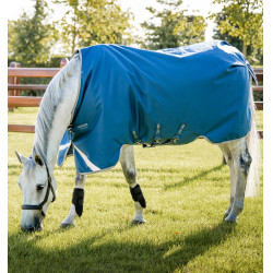 Horseware Ionic Therapy Turnout 100g deken Bleu imperial / argent /Marine Blauw Horseware Ionic Therapy Turnout 100g deken Bleu imperial / argent /Marine Blauw