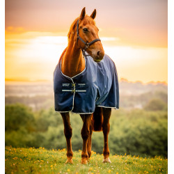 Paardendeken turnout 900D 100g waterdicht – Horseware Amigo Paardendeken turnout 900D 100g waterdicht – Horseware Amigo