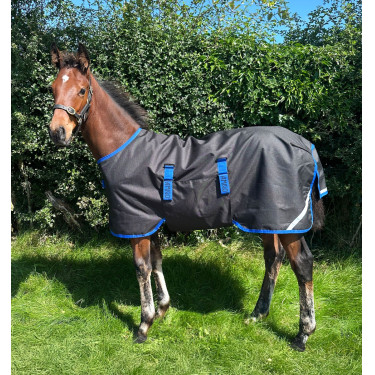 Veulendeken 50g waterdicht – Horseware Amigo 900D | Equi-Clic Veulendeken 50g waterdicht – Horseware Amigo 900D | Equi-Clic