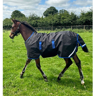 Veulendeken 200g 900D ripstop – Horseware Amigo | ruitersport