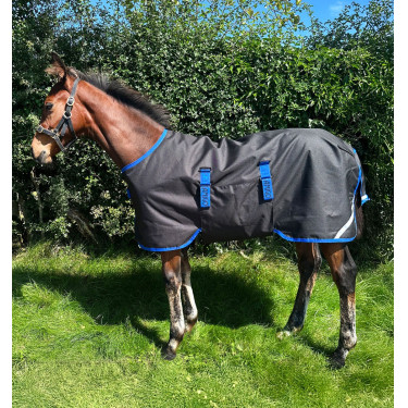 Horseware Amigo Ripstop 900D Veulen Turnout 200g Deken Zwart / klassiek blauw Horseware Amigo Ripstop 900D Veulen Turnout 200g Deken Zwart / klassiek blauw