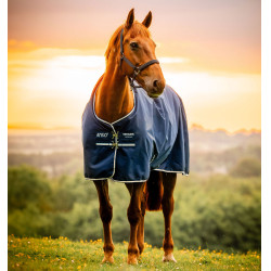 Horseware Amigo Ripstop 900D Pony Turnout 100g Deken Marine witney Marineblauw