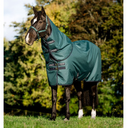 Horseware Amigo Ripstop 900D Plus Pony Turnout 0g Deken Groen dynastie / marine / zilver