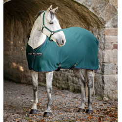Horseware Amigo Jersey Poney Cooler Deken Groen dynastie / marine / zilver