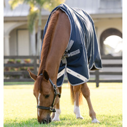 Paardendeken Horseware Amigo 1200D 250g – Rijden & Weer