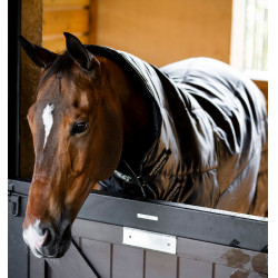 Horseware Amigo Ripstop Insulator Plus 200g staldeken Zwart / zwart / zilver Horseware Amigo Ripstop Insulator Plus 200g staldeken Zwart / zwart / zilver