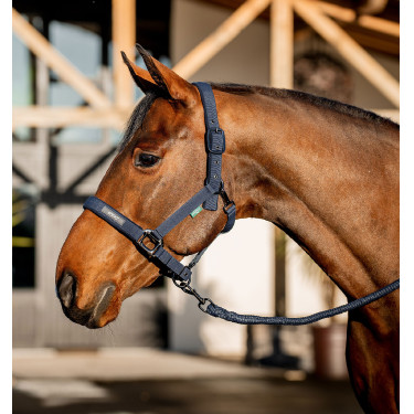 Paarden halster + lijn Amigo Horseware – Equi-Clic