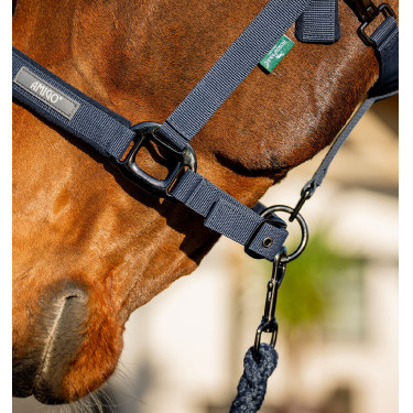 Paarden halster + lijn Amigo Horseware – Equi-Clic