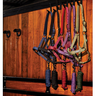 Paarden halster + lijn Amigo Horseware – Equi-Clic