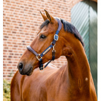Halster Horseware wedstrijd Signature Bruin / marineblauw