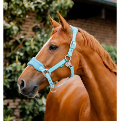 Verzorgingshalster voor paard – Comfort & Pasvorm Verzorgingshalster voor paard – Comfort & Pasvorm