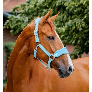 Halster Horseware voor verzorging Signature Blauwe nevel Halster Horseware voor verzorging Signature Blauwe nevel