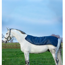 Zomerdeken paard waterdicht met voering - Rambo