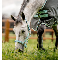 Speciale Weidhalster Horseware® Fieldsafe Blauwe waas