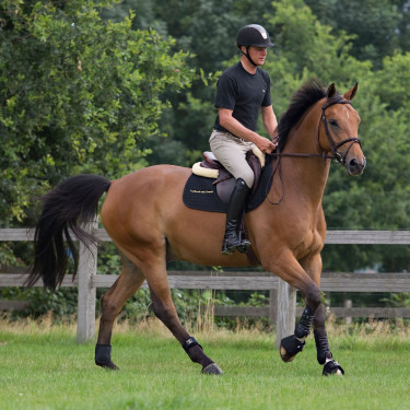 Werkpeeskappen Royal Back On Track Werkpeeskappen Royal Back On Track