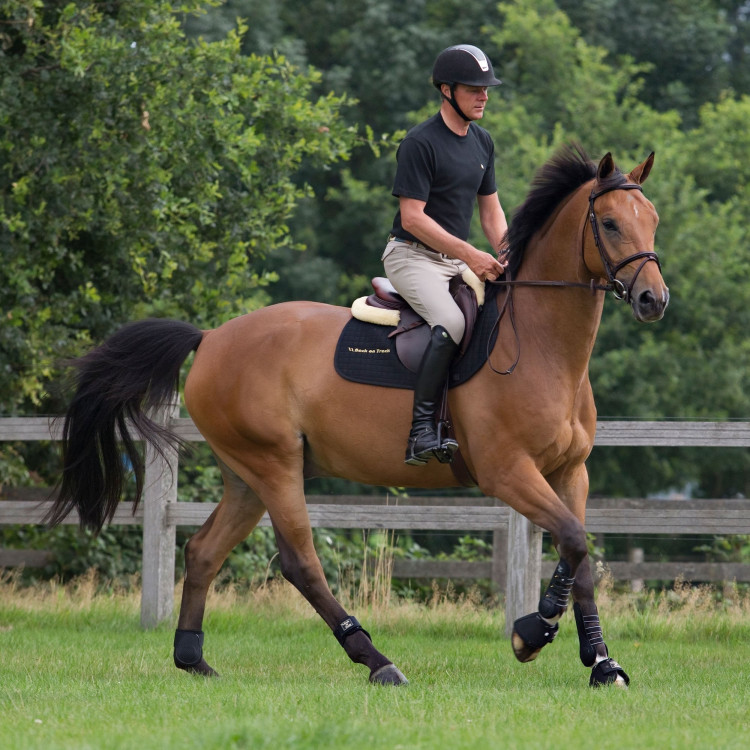 Werkpeeskappen Royal Back On Track Werkpeeskappen Royal Back On Track