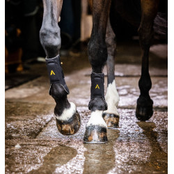 Gamaschen Horseware Adagio Zwart / geel