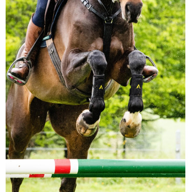 Gamaschen Horseware Adagio Zwart / geel