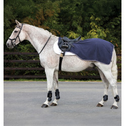 Waterdichte fleece paardendeken voor training