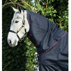 Halsstuk voor Amigo XL paardendeken - 0g