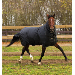 Winterdeken voor paarden met hals - 350g Horseware