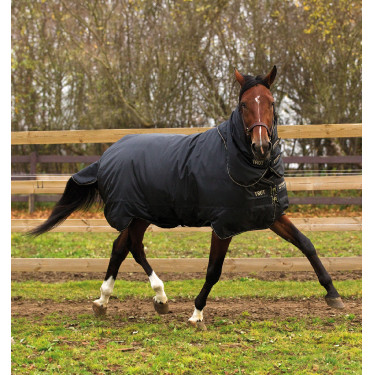 Winterdeken voor paarden met hals - 350g Horseware