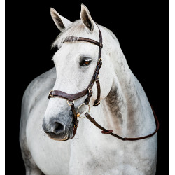 Bridon Horseware Micklem 2 Multi Donker Havana Bruin