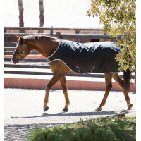 Wandeldeken Horseware Amigo 200g Zwart / zilver