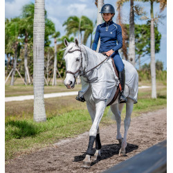 Uitrijdeken Horseware anti-vliegen Fluo Amigo Flyrider 0g Zilver / titaniumgrijs / zilver