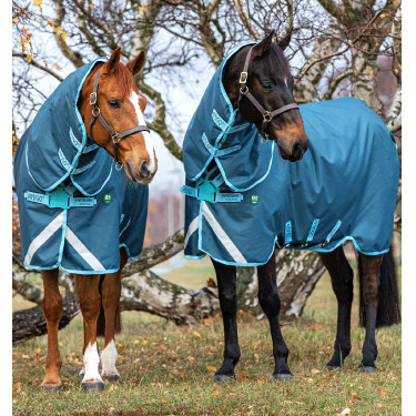Duurzame winterdeken voor paard – 250g, waterdicht