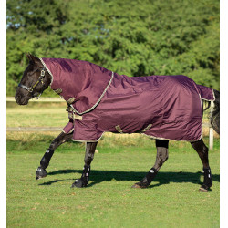 Waterdichte paardendeken met hals – 0g bescherming