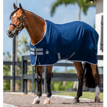 Boxdeken Horseware Amigo Delphinium 0g Marine / titaangrijs / zilver Marineblauw Boxdeken Horseware Amigo Delphinium 0g Marine / titaangrijs / zilver Marineblauw