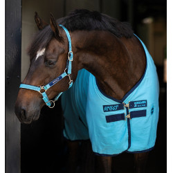 Boxdeken Horseware Amigo Delphinium 0g Blauw dolfijn / marineblauw Boxdeken Horseware Amigo Delphinium 0g Blauw dolfijn / marineblauw