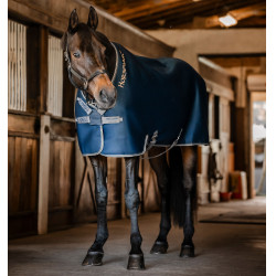 Droogdeken Horseware Rambo Airmax Cooler Disc Marine / onweer / zilvergrijs Marineblauw Droogdeken Horseware Rambo Airmax Cooler Disc Marine / onweer / zilvergrijs Marineblauw