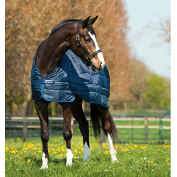 Waterdichte paardendeken Rambo Duo met liner