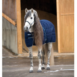 Winterstaldeken voor paard Rambo® 400g – Horseware