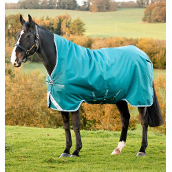 Horseware Dekens High Neck Amigo® Bravo 12 Original 250g 1200D Groen / aqua Horseware Dekens High Neck Amigo® Bravo 12 Original 250g 1200D Groen / aqua